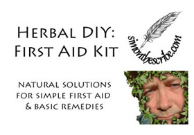Book cover - Herbal DIY First Aid Kit