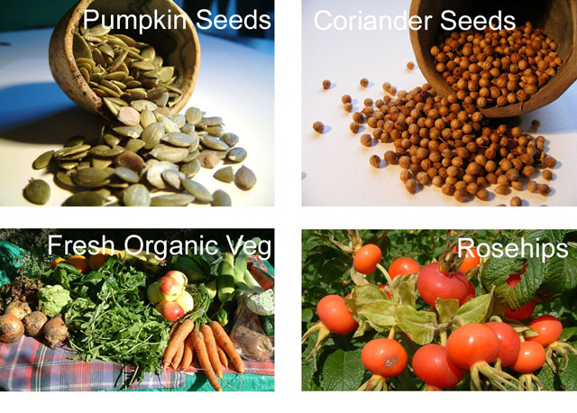 Pumpkin and Coriander seeds, Fresh Veg. and Rosehips