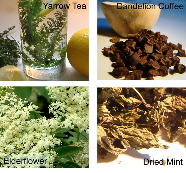 Yarrow Tea, Dandelion Coffee, Elderflower and Mint