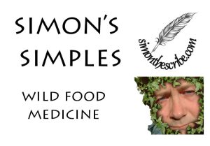 wild food blog
