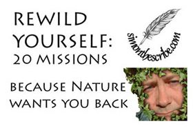 RE-WILD Yourself: 20 missions - because Nature wants you back