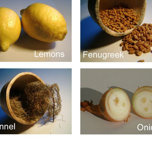 Lemons, Fenugreek, Fennel and Onion