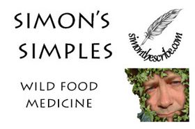 Simon's Simples: Wild Food Medicine in Your Kitchen